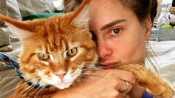 Carolina Dieckmann curte o dia com o gato de estimação - Reprodução/Instagram