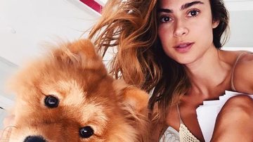 Thaila Ayala derrete a web ao surgir segurando seu cachorro - Reprodução/Instagram