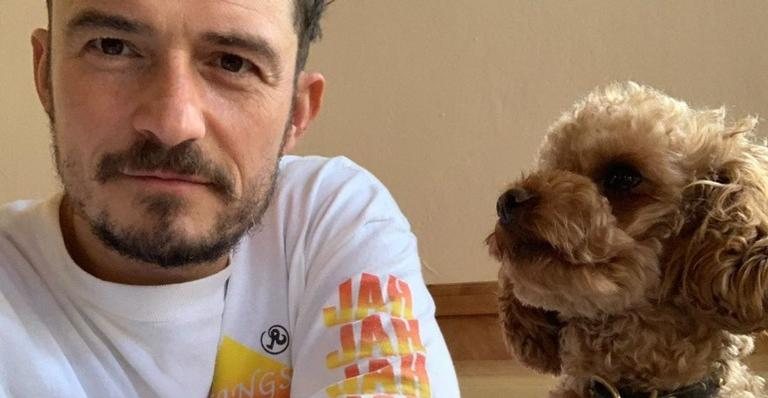 Orlando Bloom lamenta morte de seu cachorrinho - Reprodução/Instagram