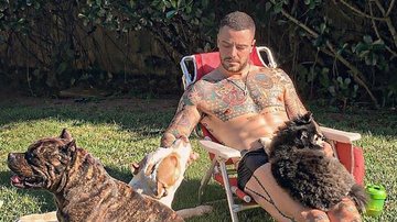 Felipe Titto faz fofa declaração aos seus cachorros - Reprodução/Instagram