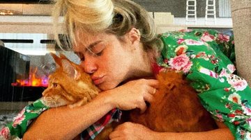 Carolina Dieckman exibe o gatinho de estimação em suas redes sociais - Reprodução/Instagram