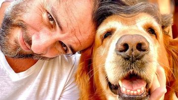 Rodrigo Lombardi se derrete por momento ao lado de cachorros - Reprodução/Instagram