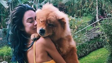 Thaila Ayala se derrete pela fofura de seu cachorro de estimação, Martin - Reprodução/Instagram