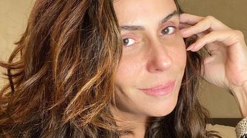 Giovanna Antonelli dispensa produção e surge natural na web - Reprodução/Instagram