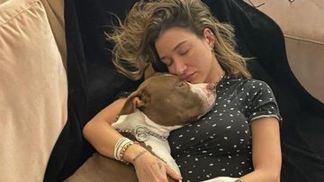 Gabriela Pugliesi lamenta a morte de seu cachorrinho - Reprodução/Instagram