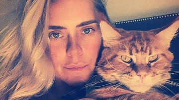 Carolina Dieckmann encanta ao surgi no maior chamego com seu gato de estimação - Reprodução/Instagram