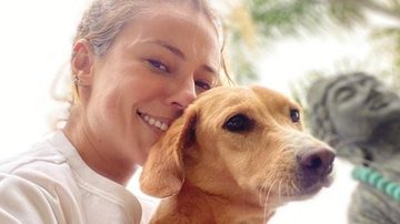 Paolla Oliveira posa coladinha com seus cachorros - Reprodução/Instagram