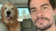 Thiago Martins derrete fãs ao postar cliques de seus cães - Reprodução/Instagram