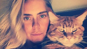 Carolina Dieckmann se derrete ao exibir foto de seu gatinho - Reprodução/Instagram