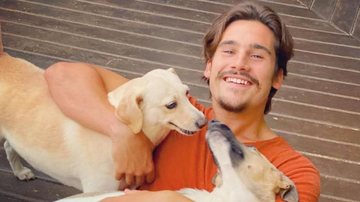 Nicolas Prattes exibe reação de sua cachorra ao tomar vacina - Reprodução/Instagram