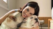 Sthefany Brito mostra seus pets conhecendo o seu filho - Reprodução/Instagram