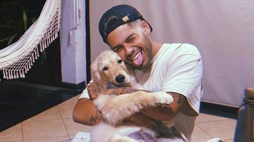 Zé Felipe faz passeio de jatinho ao lado de sua cachorrinha - Reprodução/Instagram