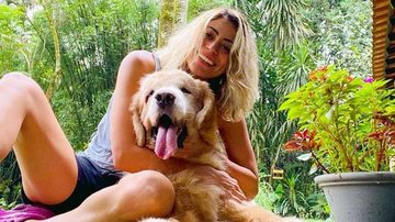 Carol Castro lamenta morte de companheiro canino com declaração na web - Reprodução/Instagram