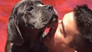 André Marques lamenta morte de cachorra de estimação - Reprodução/Instagram