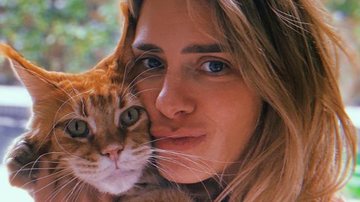 Carolina Dieckmann celebra Dia do Gato fazendo homenagem ao seu pet - Reprodução/Instagram