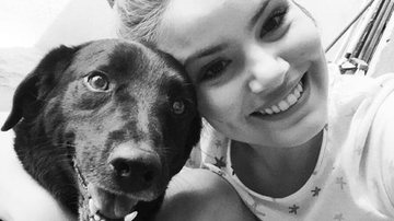 Camila Queiroz lamenta morte de seu cachorrinho - Reprodução/Instagram