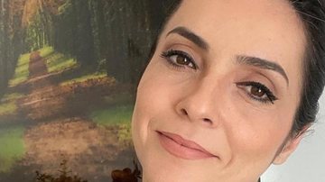 Grávida, Izabella Camargo completa 7 meses e faz confissão - Reprodução/Instagram