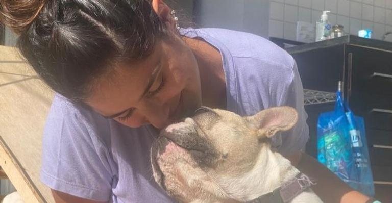 Camilla Camargo lamenta morte da cachorra - Reprodução/Instagram