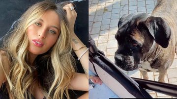 Lorena Carvalho flagra momento fofo entre seu pet e o filho - Reprodução/Instagram