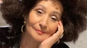 Sonia Abrão é criticada por usar peruca black power - Reprodução/Instagram