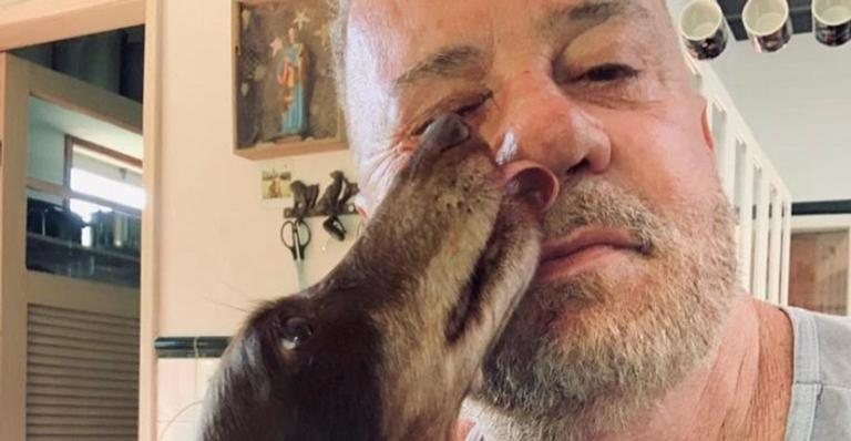 Luiz Fernando Guimarães lamenta morte do seu cachorro - Reprodução/Instagram