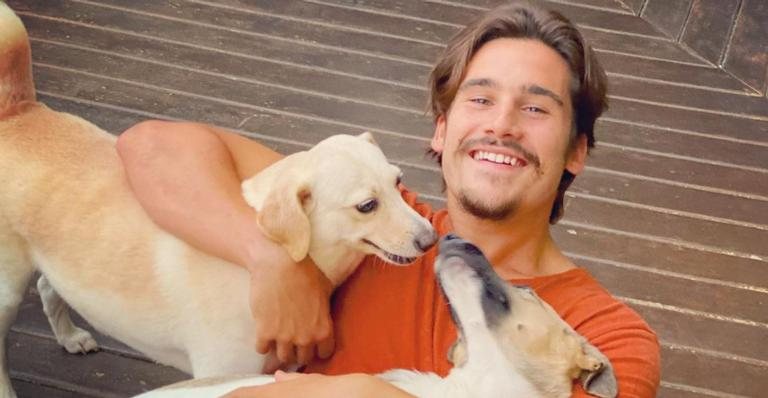 Nicolas Prattes celebra seu aniversário ao lado de seus cães - Reprodução/Instagram