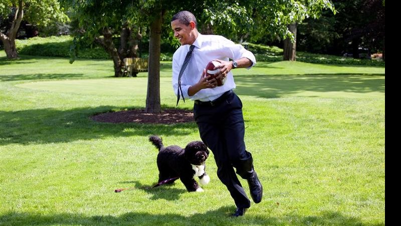 Barack Obama brinca com Bo nos jardins da Casa Branca - Flickr The White House