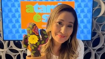 Sonia Abrão renova contrato com a RedeTV!: ''Até 2025'' - Reprodução/Instagram