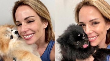 Ana Furtado posta cliques com os cachorros e se declara - Reprodução/Instagram