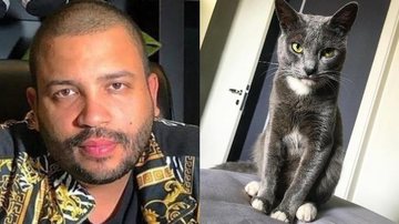 Projota lamenta morte de seu gatinho, Chuck - Reprodução/Instagram