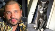 Projota lamenta morte de seu gatinho, Chuck - Reprodução/Instagram