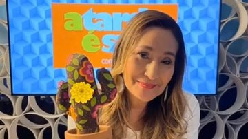 Sonia Abrão apresenta A Tarde é Sua de casa; saiba o motivo - Reprodução/Instagram