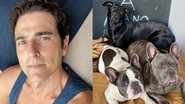 Reynaldo Gianecchini exibe aula de adestramento de seus cães - Reprodução/Instagram