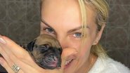 Ana Hickmann mostra fotos de ensaio 'pet born' com filhotes - Acervo Pessoal