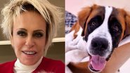 Ana Maria Braga diverte ao postar foto de seu cão de máscara - Reprodução/Instagram