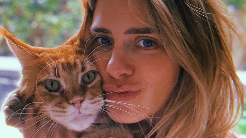 Carolina Dieckmann brinca com seu gato em registro - Reprodução/Instagram