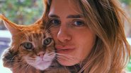 Carolina Dieckmann brinca com seu gato em registro - Reprodução/Instagram