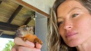 Gisele Bündchen resgata filhote de esquilo - Reprodução/Instagram