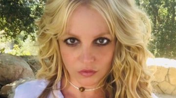 Após a enorme polêmica e pressão do público, site norte-americano afirma que o pai de Britney Spears desistiu de manter a tutela da cantora - Reprodução/Instagram
