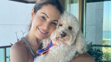 Patrícia Poeta encanta ao recordar adoção de seu cachorro - Reprodução/Instagram