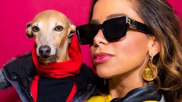 Plínio, pet de Anitta, ostenta acessórios de R$ 5 mil - Foto/Instagram