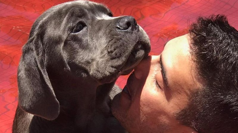 André Marques lembra cliques ao lado de cachorrinha falecida - Reprodução/Instagram