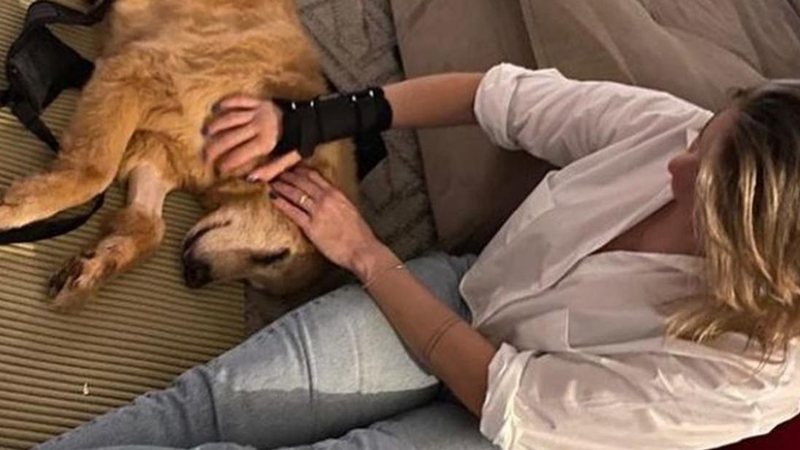 Fernanda Gentil comemora evolução da sua cachorra Nalinha - Reprodução/Instagram
