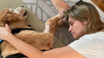 Jornalista Fernanda Gentil emociona ao exibir evolução de sua cadelinha, Nala - Reprodução/Instagram