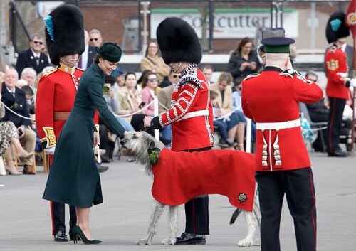 Kate Middleton e seu marido se juntaram a Guarda Irlandesa para celebrar o Dia de São Patrício
