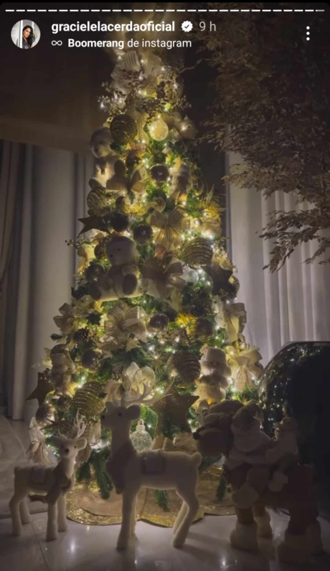 Graciele Lacerda mostra decoração de Natal