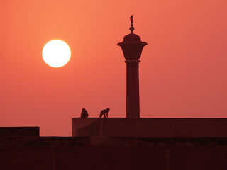 Nascer do sol do Taj Mahal - Agra