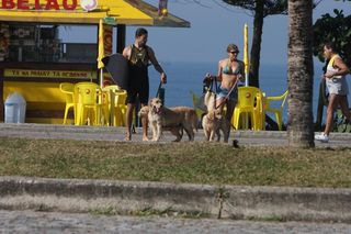 Grazi Massafera e Cauã Reymond brincam com os cães na Prainha, Rio