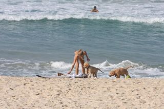 Grazi Massafera brinca com os cães na Prainha, Rio