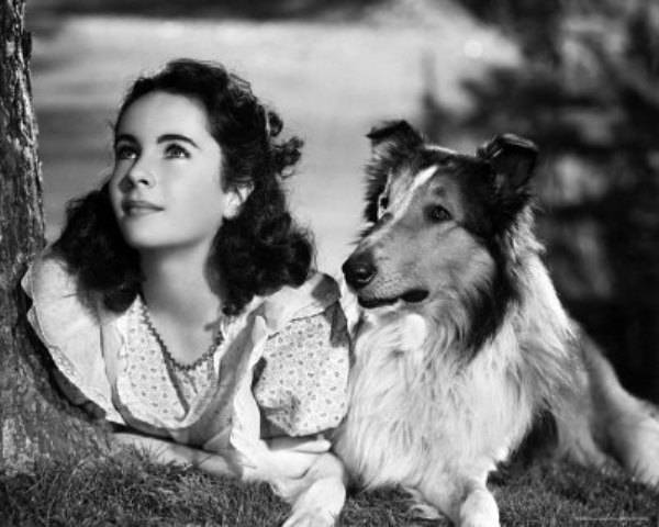 Elizabeth Taylor aos 11 anos em Lassie